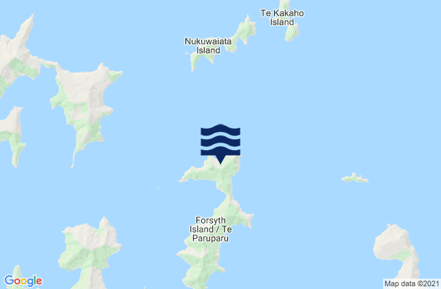 Carte des horaires des marées pour Forsyth Island (Te Paruparu), New Zealand