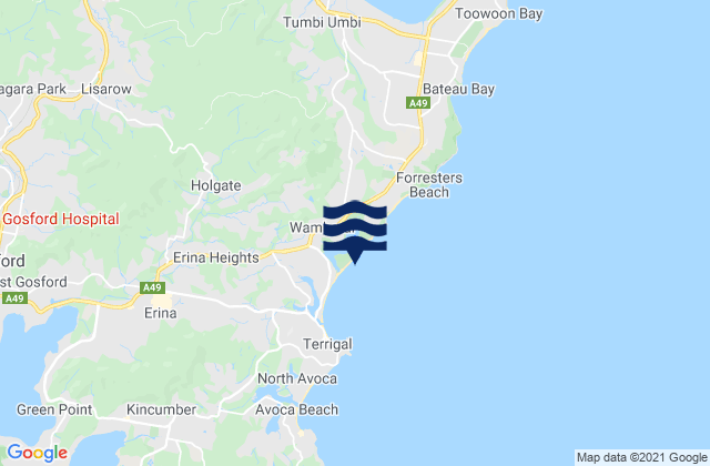 Carte des horaires des marées pour Holgate, Australia
