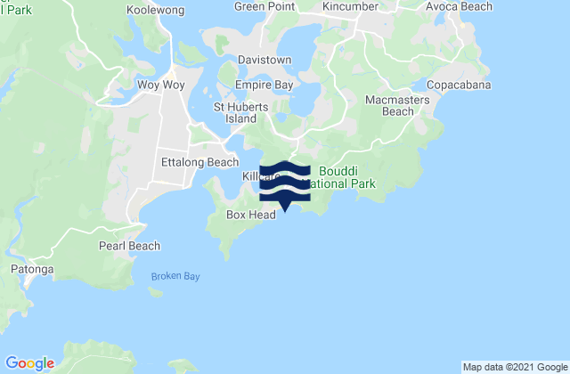 Carte des horaires des marées pour Killcare Beach, Australia