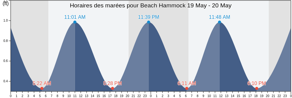Horaires des marées pour Beach Hammock, Flagler County, Florida, United States