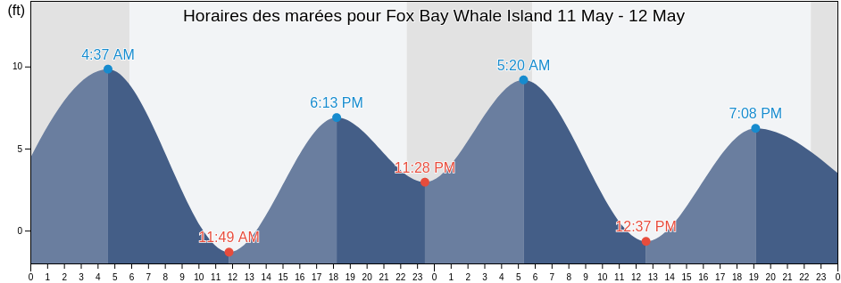 Horaires des marées pour Fox Bay Whale Island, Kodiak Island Borough, Alaska, United States