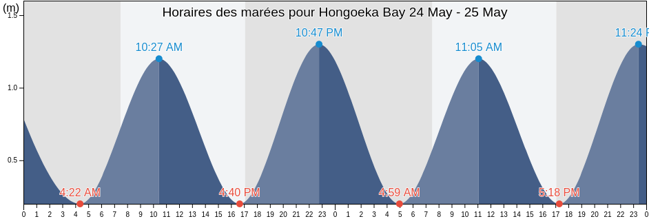Horaires des marées pour Hongoeka Bay, Wellington, New Zealand