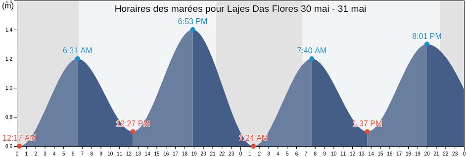 Horaires des marées pour Lajes Das Flores, Azores, Portugal