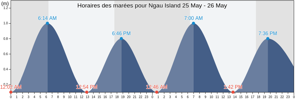 Horaires des marées pour Ngau Island, Eastern, Fiji