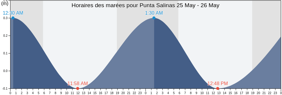 Horaires des marées pour Punta Salinas, Salinas, Puerto Rico