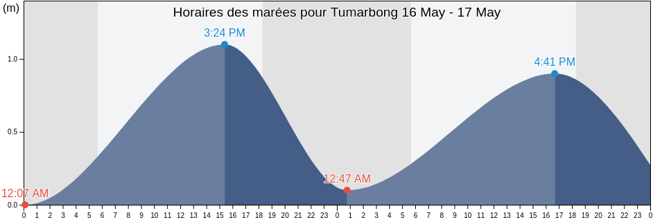 Horaires des marées pour Tumarbong, Province of Palawan, Mimaropa, Philippines