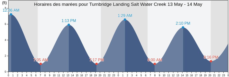 Horaires des marées pour Turnbridge Landing Salt Water Creek, Chatham County, Georgia, United States