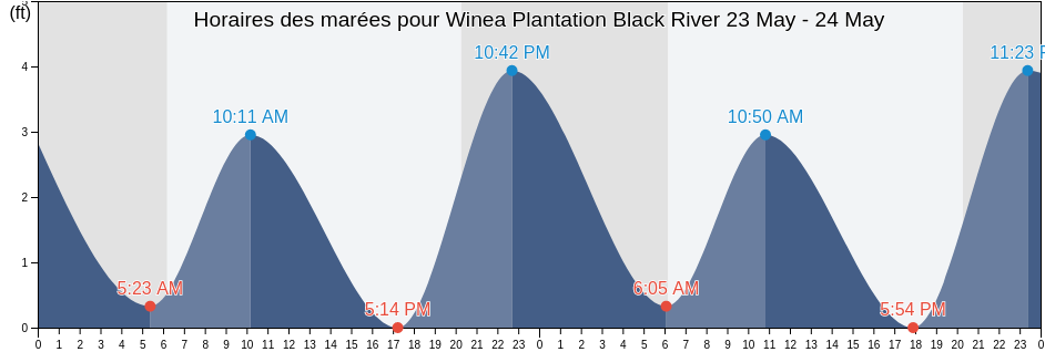 Horaires des marées pour Winea Plantation Black River, Georgetown County, South Carolina, United States