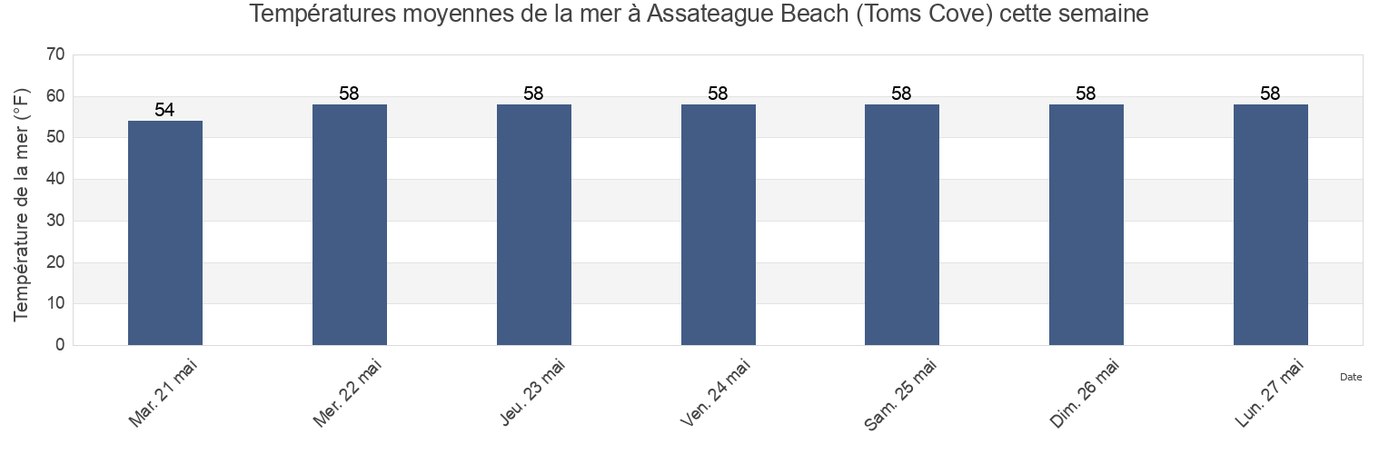 Températures moyennes de la mer à Assateague Beach (Toms Cove), Worcester County, Maryland, United States cette semaine