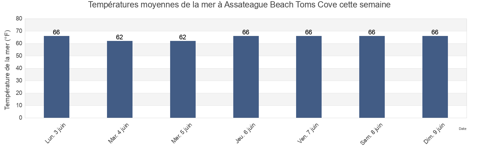 Températures moyennes de la mer à Assateague Beach Toms Cove, Worcester County, Maryland, United States cette semaine