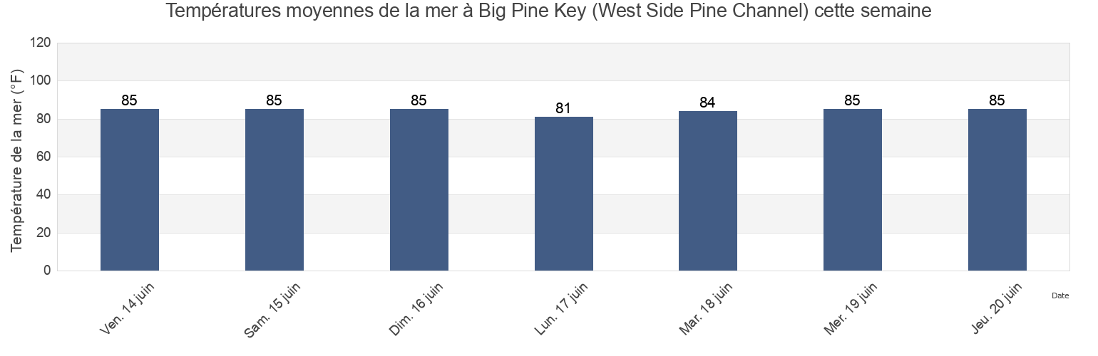 Températures moyennes de la mer à Big Pine Key (West Side Pine Channel), Monroe County, Florida, United States cette semaine