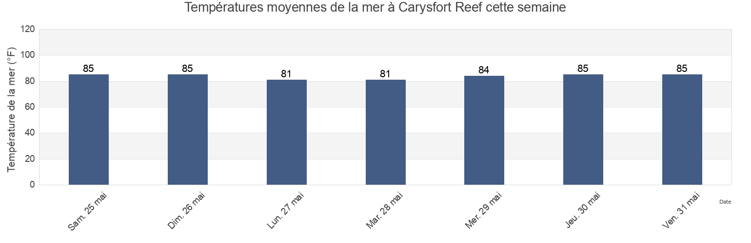 Températures moyennes de la mer à Carysfort Reef, Miami-Dade County, Florida, United States cette semaine