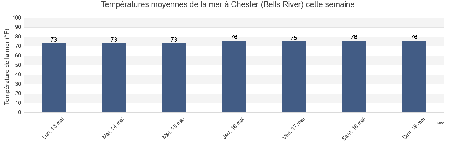 Températures moyennes de la mer à Chester (Bells River), Camden County, Georgia, United States cette semaine