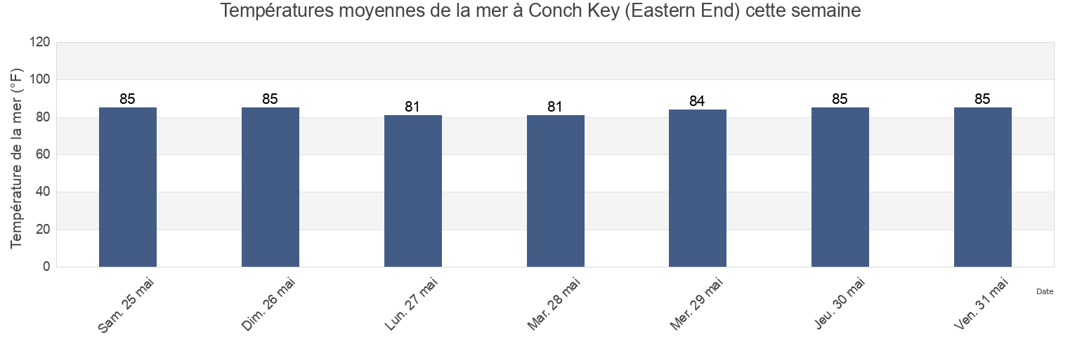 Températures moyennes de la mer à Conch Key (Eastern End), Miami-Dade County, Florida, United States cette semaine