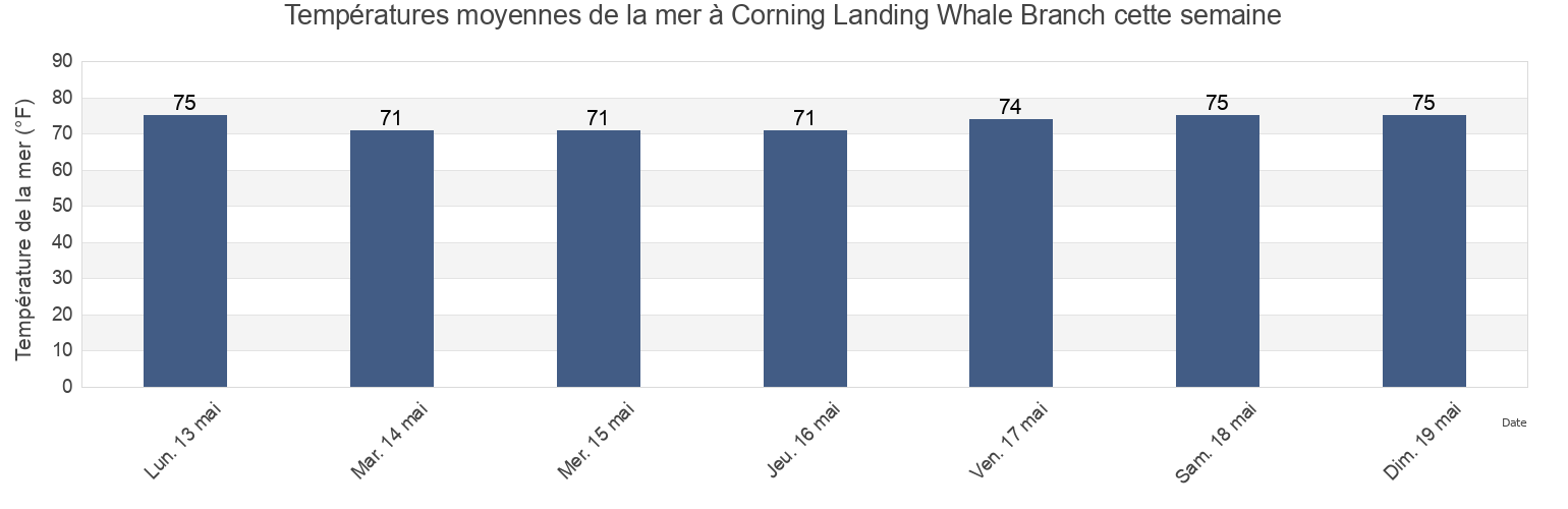 Températures moyennes de la mer à Corning Landing Whale Branch, Beaufort County, South Carolina, United States cette semaine