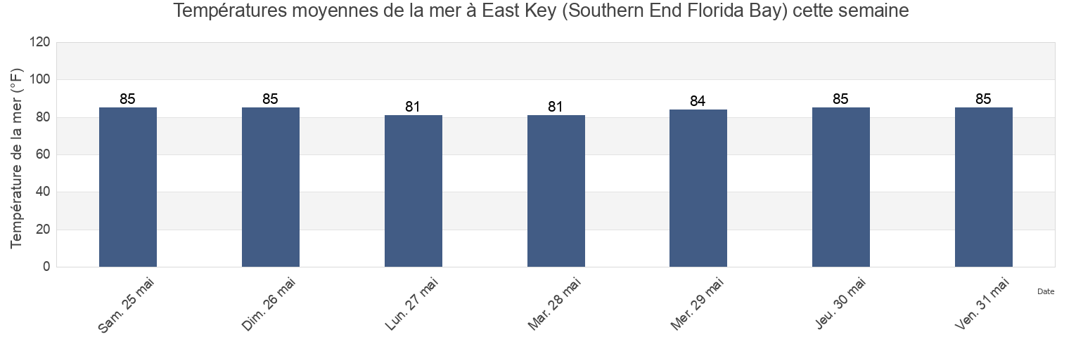 Températures moyennes de la mer à East Key (Southern End Florida Bay), Miami-Dade County, Florida, United States cette semaine