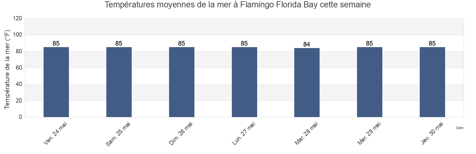 Températures moyennes de la mer à Flamingo Florida Bay, Miami-Dade County, Florida, United States cette semaine