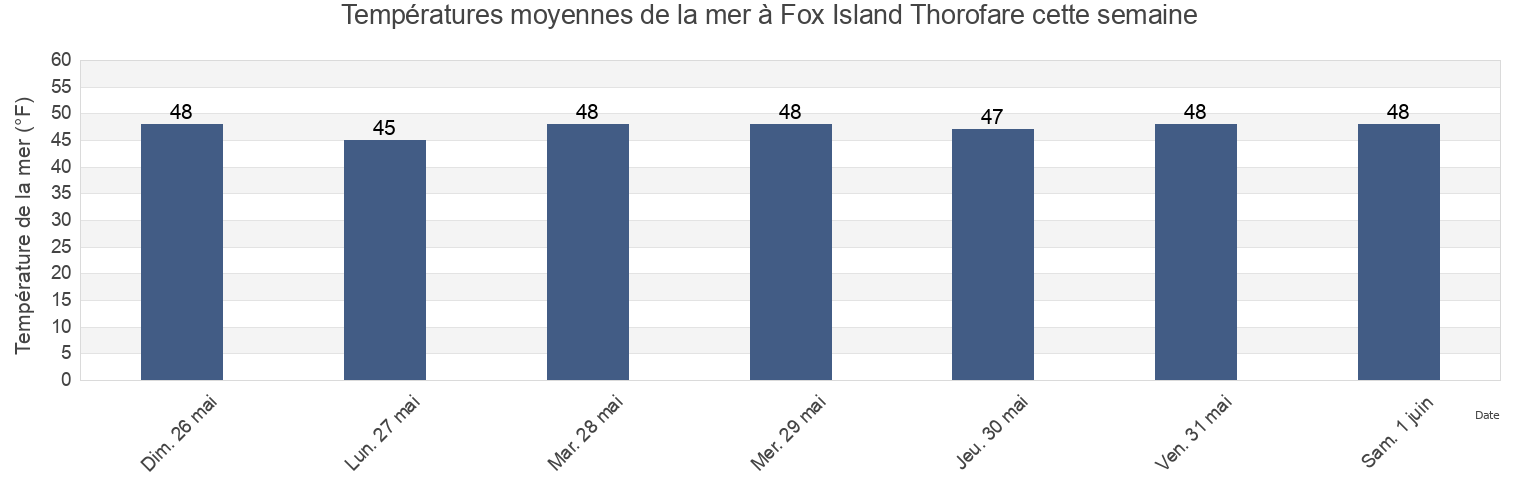 Températures moyennes de la mer à Fox Island Thorofare, Knox County, Maine, United States cette semaine