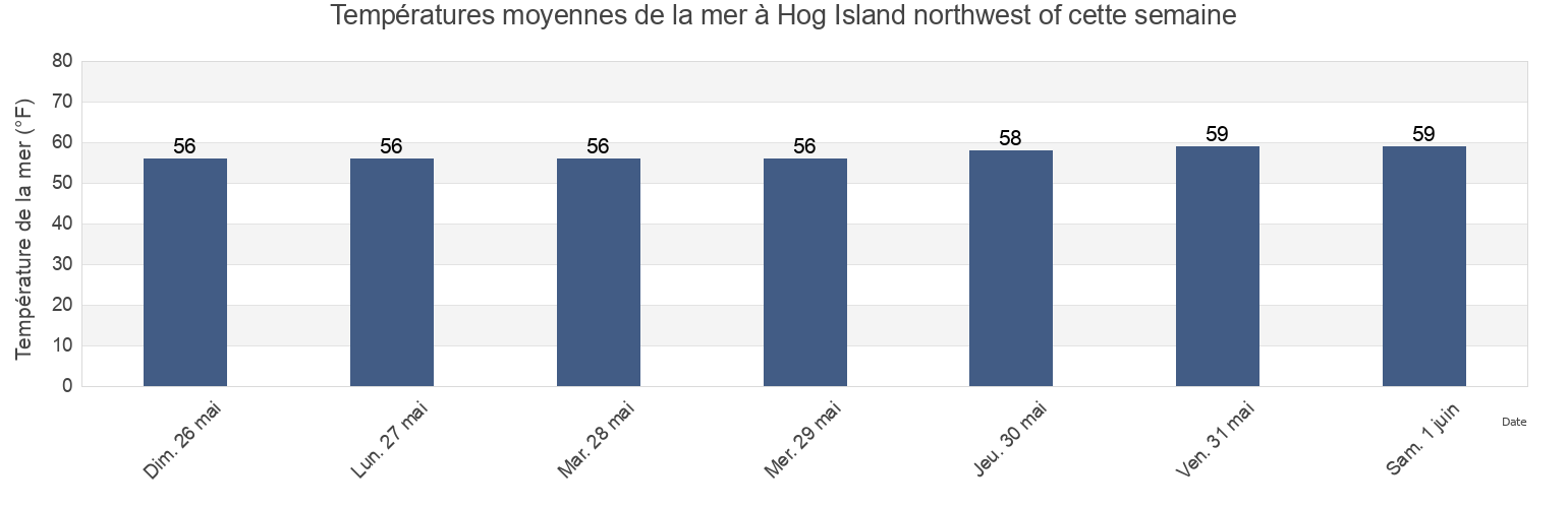 Températures moyennes de la mer à Hog Island northwest of, Bristol County, Rhode Island, United States cette semaine
