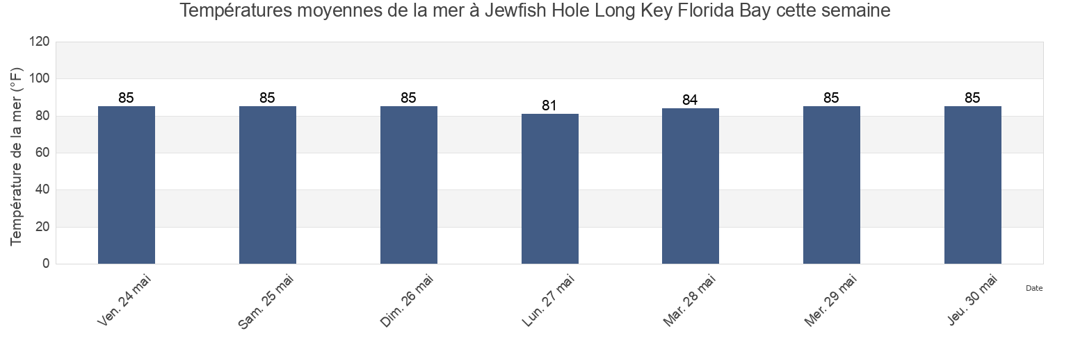 Températures moyennes de la mer à Jewfish Hole Long Key Florida Bay, Miami-Dade County, Florida, United States cette semaine