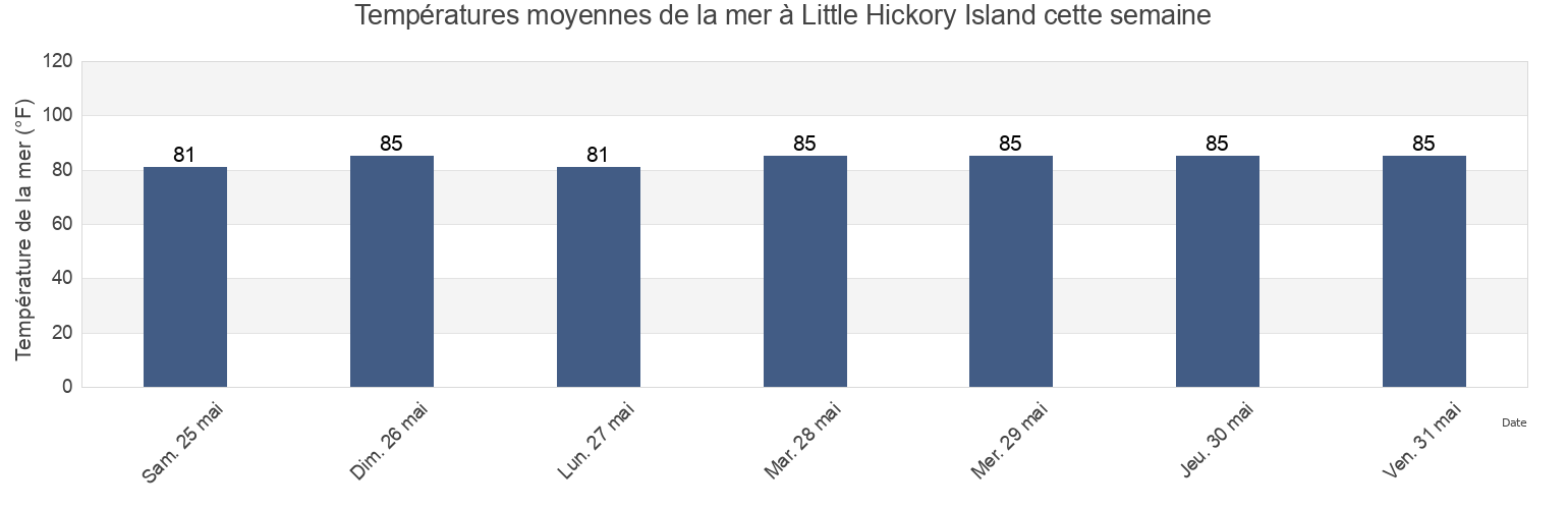 Températures moyennes de la mer à Little Hickory Island, Lee County, Florida, United States cette semaine