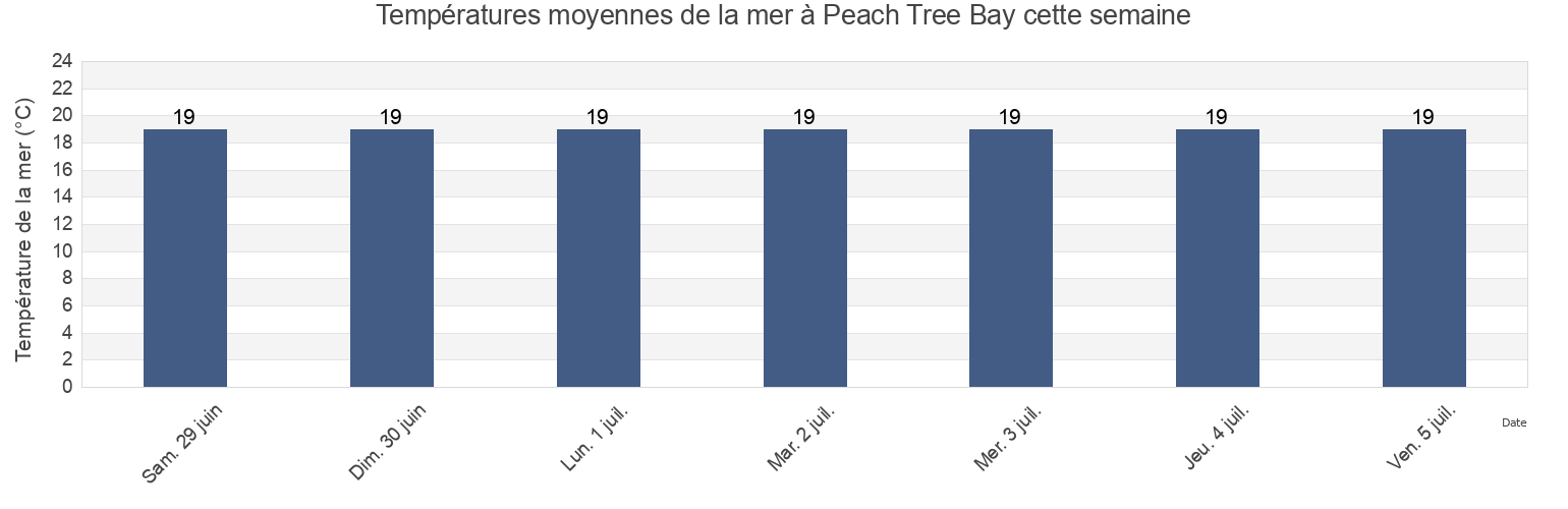 Températures moyennes de la mer à Peach Tree Bay, New South Wales, Australia cette semaine