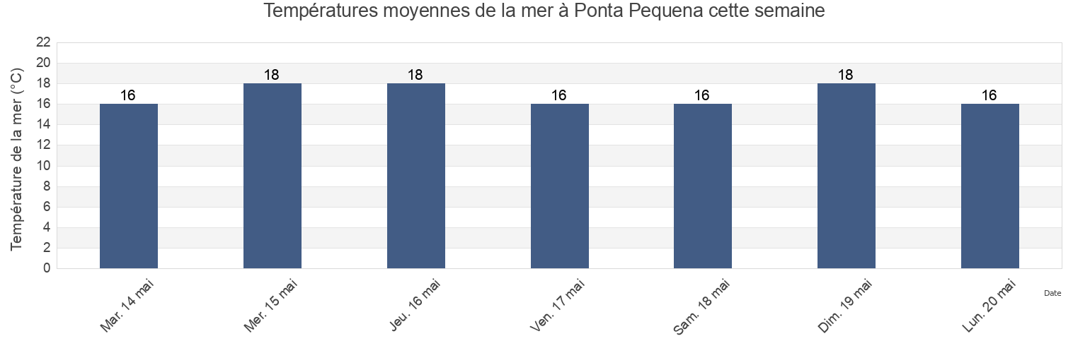 Températures moyennes de la mer à Ponta Pequena, Olhão, Faro, Portugal cette semaine
