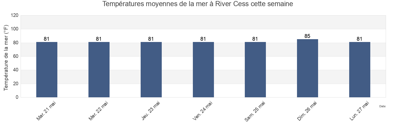 Températures moyennes de la mer à River Cess, Zarflahn District, River Cess, Liberia cette semaine