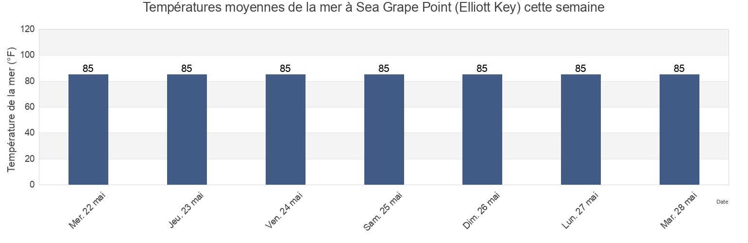 Températures moyennes de la mer à Sea Grape Point (Elliott Key), Miami-Dade County, Florida, United States cette semaine