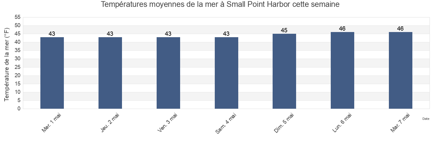 Températures moyennes de la mer à Small Point Harbor, Sagadahoc County, Maine, United States cette semaine