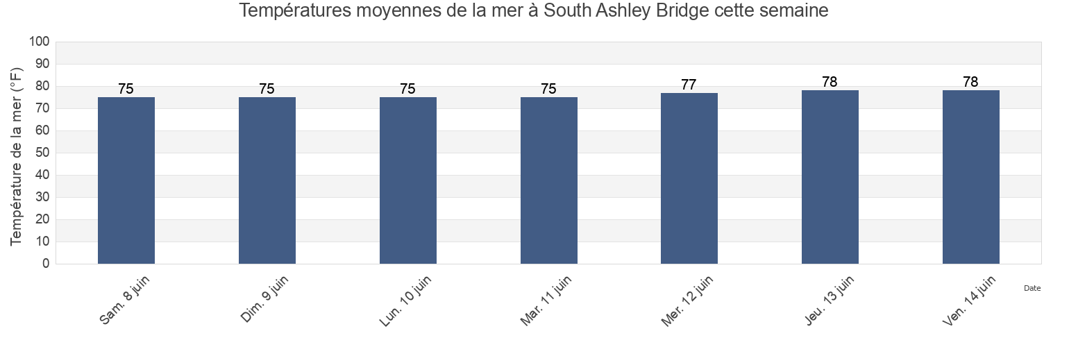 Températures moyennes de la mer à South Ashley Bridge, Charleston County, South Carolina, United States cette semaine