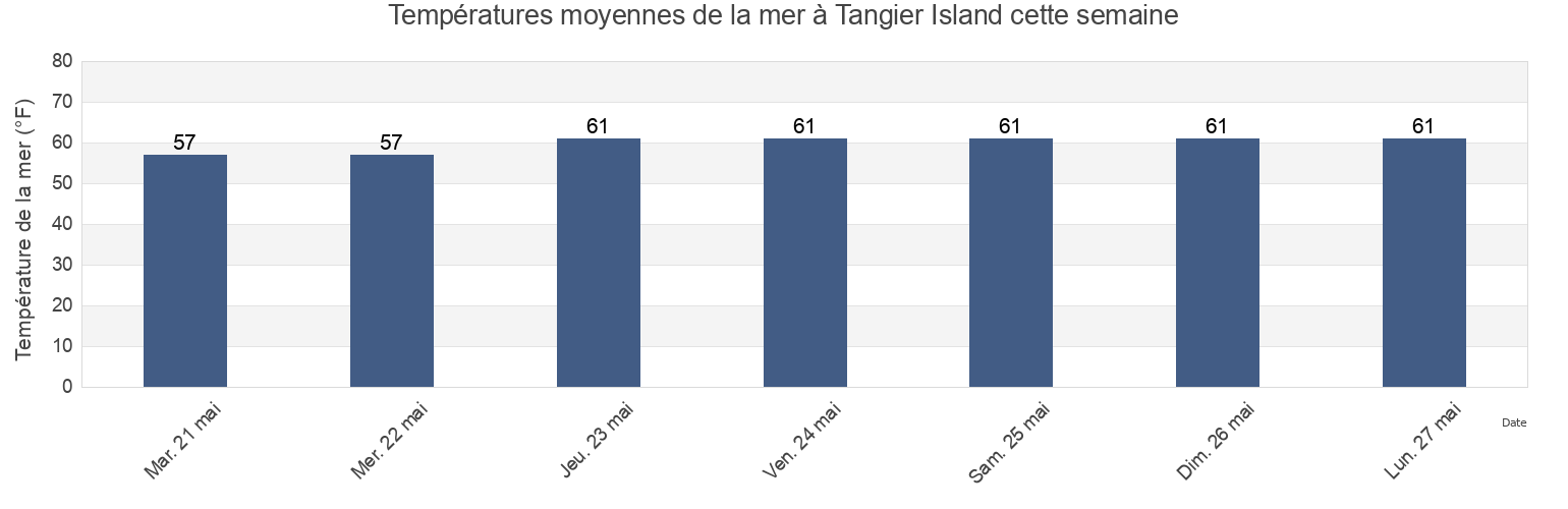 Températures moyennes de la mer à Tangier Island, Accomack County, Virginia, United States cette semaine