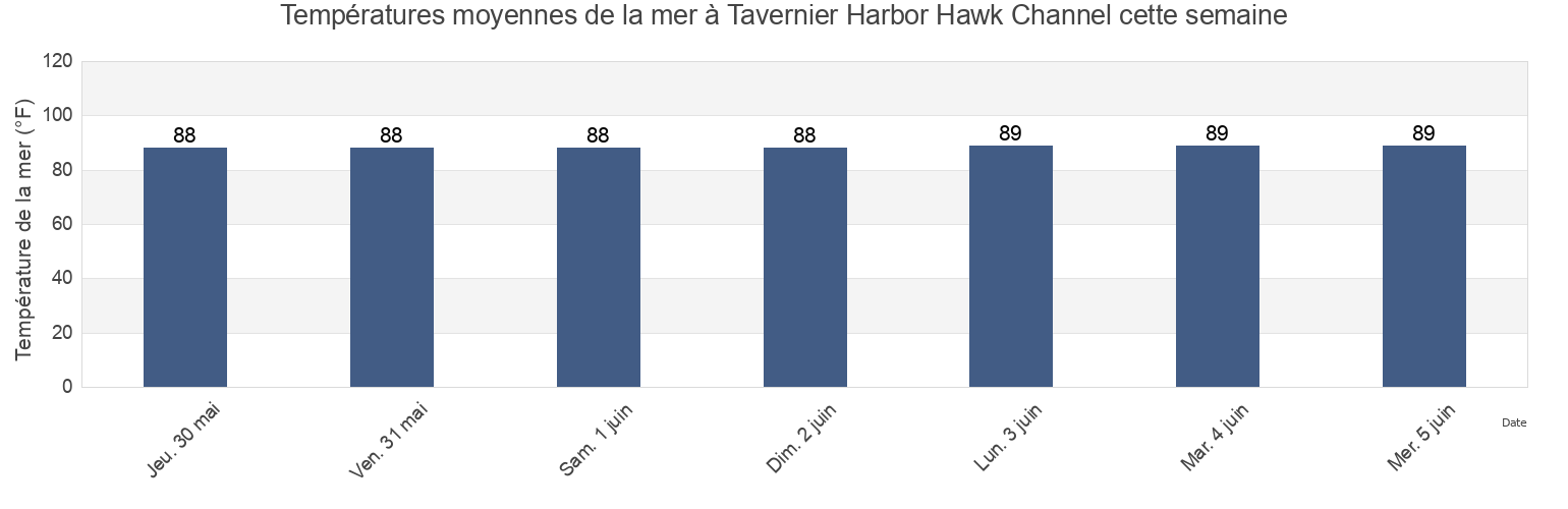 Températures moyennes de la mer à Tavernier Harbor Hawk Channel, Miami-Dade County, Florida, United States cette semaine