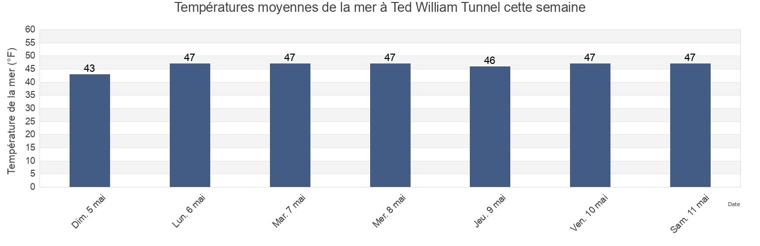 Températures moyennes de la mer à Ted William Tunnel, Suffolk County, Massachusetts, United States cette semaine