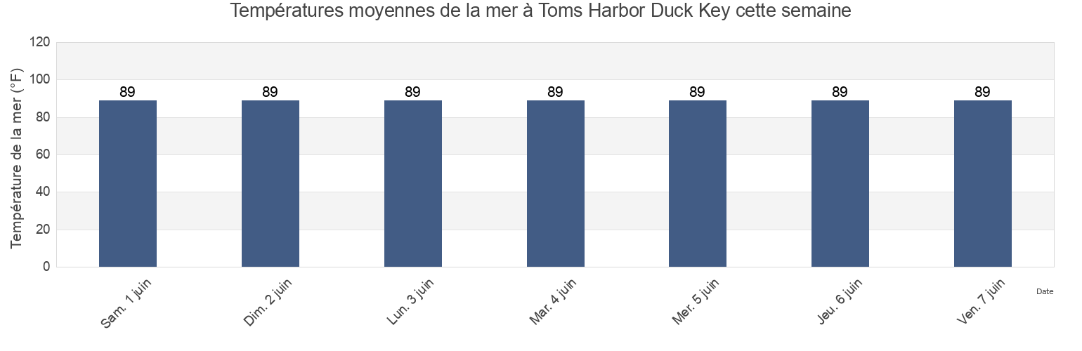 Températures moyennes de la mer à Toms Harbor Duck Key, Monroe County, Florida, United States cette semaine