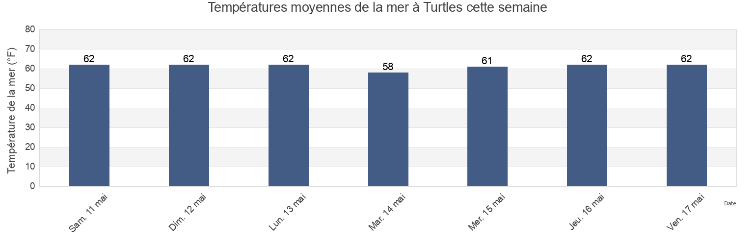 Températures moyennes de la mer à Turtles, New York County, New York, United States cette semaine