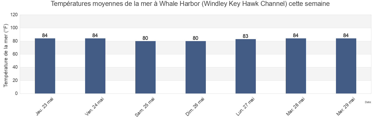Températures moyennes de la mer à Whale Harbor (Windley Key Hawk Channel), Miami-Dade County, Florida, United States cette semaine